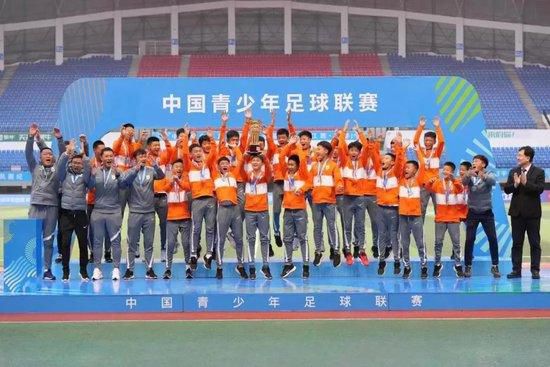 国内精品久久久久久久久野战